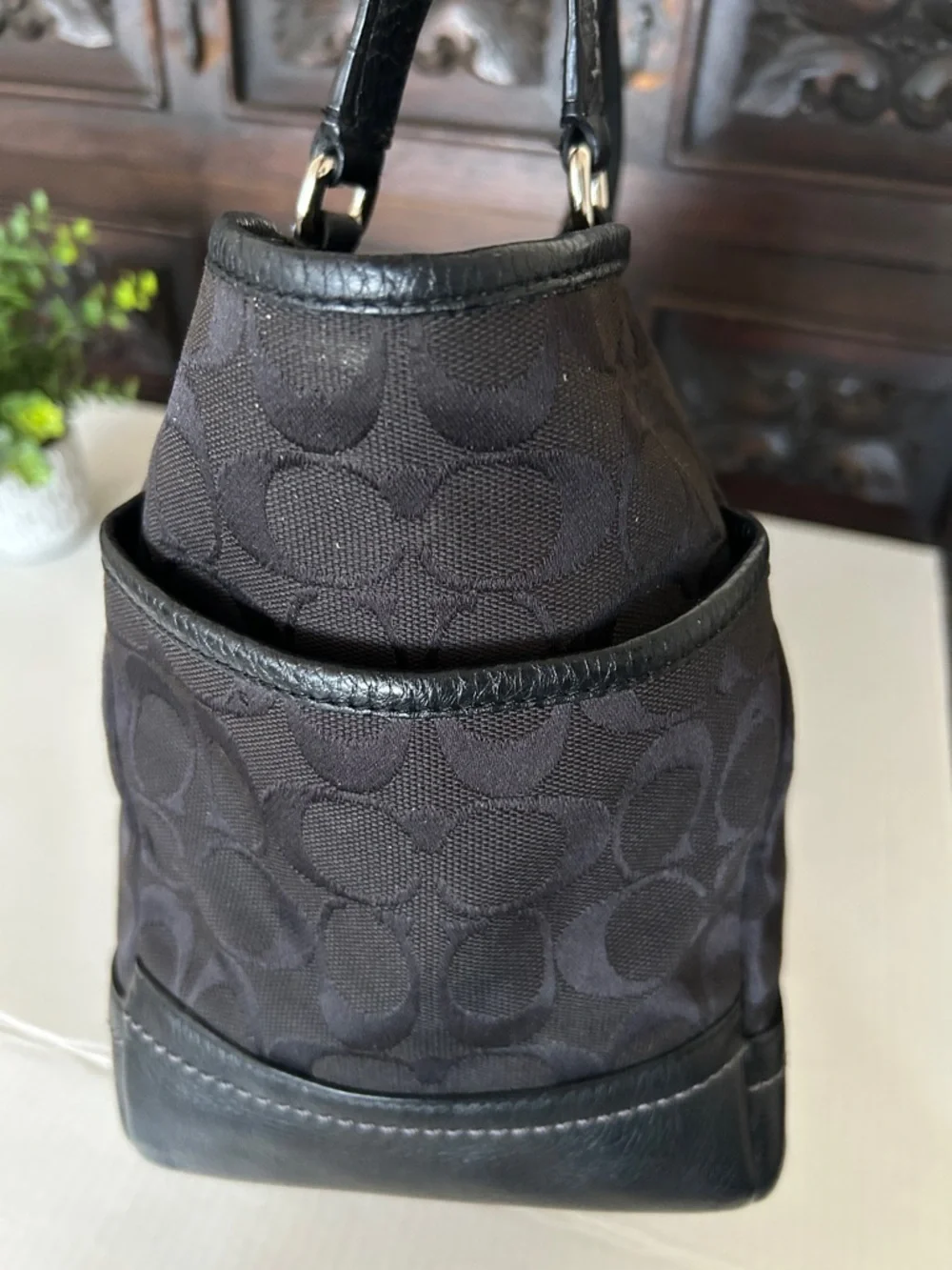 COACH Park Signature Carrie Tote Handbag.
